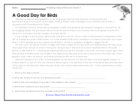 Good Day for Birds Reading Worksheet