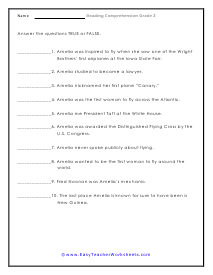 Amelia TRUE or FALSE Worksheet