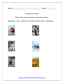 Animals of India Worksheet