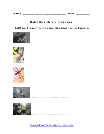 Matching Pictures Worksheet