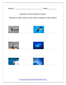 Animals of the Southern Ocean Worksheet