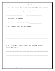 Pony Question Worksheet