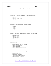 Labs Multiple Choice Questions Worksheet