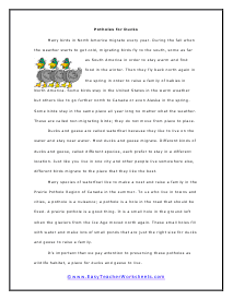 Ducks Reading Worksheet