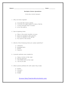 Ducky Multiple Choice Worksheet