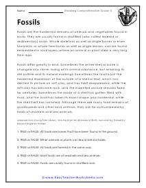 Fossils Worksheet