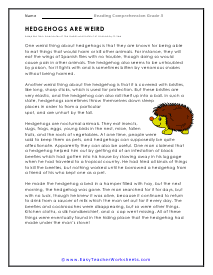 Hedgehogs Reading Worksheet