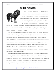 Wild Ponies Worksheet