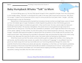 Humpback Whales Reading Worksheet