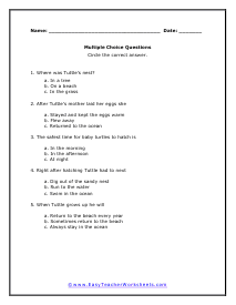 Turtle Multiple Choic Worksheet