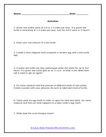 Turtle Activities Worksheet