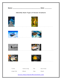 Aquarium Matching Worksheet