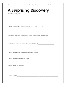 Discovery Short Answer Worksheet