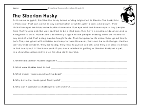 Siberian Husky Worksheet