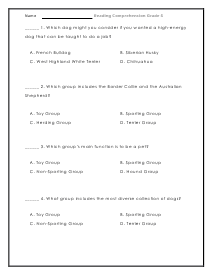 Dog Questions Worksheet