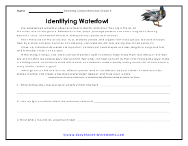 Waterfowl Reading Worksheet