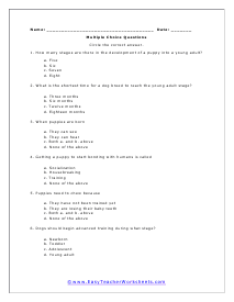 Growing Puppy Multiple Choice Worksheet