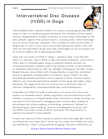 IVDD in Dogs Reading Worksheet
