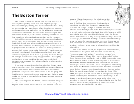 Boston Terrier Reading Worksheet