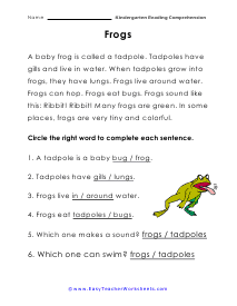 Frog Worksheet