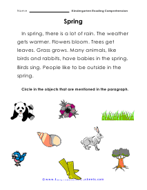 Spring Worksheet