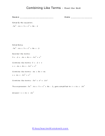 Meet the Skill Worksheet 2