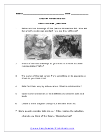 https://www.easyteacherworksheets.com/pages/pdf/science/answer/singlepages/endangeredanimals/5.gif