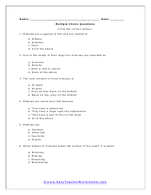 Flying Snakes Multiple Choice Worksheet