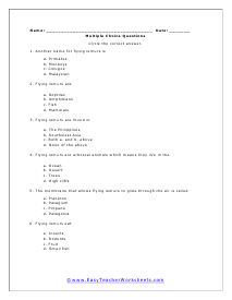 Flying Lemur Short Answer Worksheet