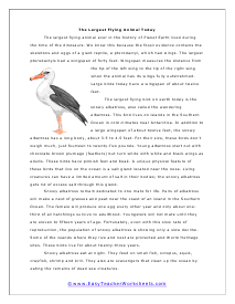 Largest Flying Animal Today Worksheet