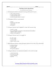 Fastest Flyer Multiple Choice Worksheet