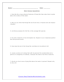 Flying Fish Short Answer Worksheet