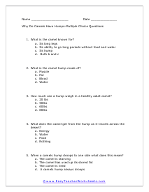 Camels Humps Multiple Choice Worksheet