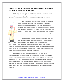 Cold vs. Warm Blooded Worksheet