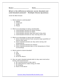 Cold vs. Warm Blooded Multiple Choice Worksheet
