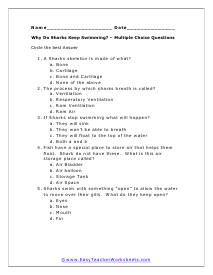 Keep Swimming Multiple Choice Worksheet