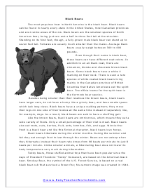 Black Bears Worksheet
