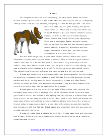 Moose Worksheet