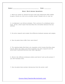 Bison Short Answer Worksheet