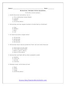 Wolverines Multiple Choice Worksheet