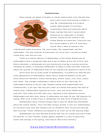 Rattlesnakes Worksheet