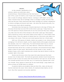 Shark Reading Worksheet