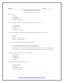 Rays Multiple Choice Worksheet