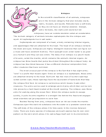 Octopus Reading Worksheet