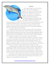 Dolphins Reading Worksheet