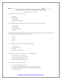 Jellyfish Multiple Choice Worksheet