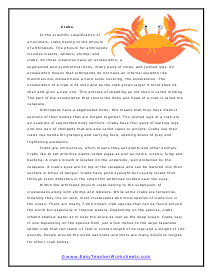 Crabs Reading Worksheet