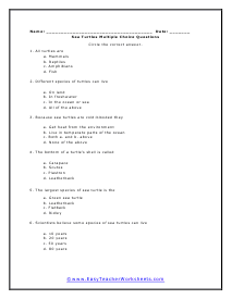 Sea Turtles Multiple Choice Worksheet