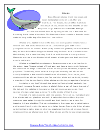 Whales Reading Worksheet