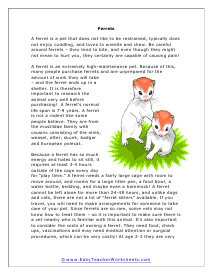 Ferrets Reading Worksheet